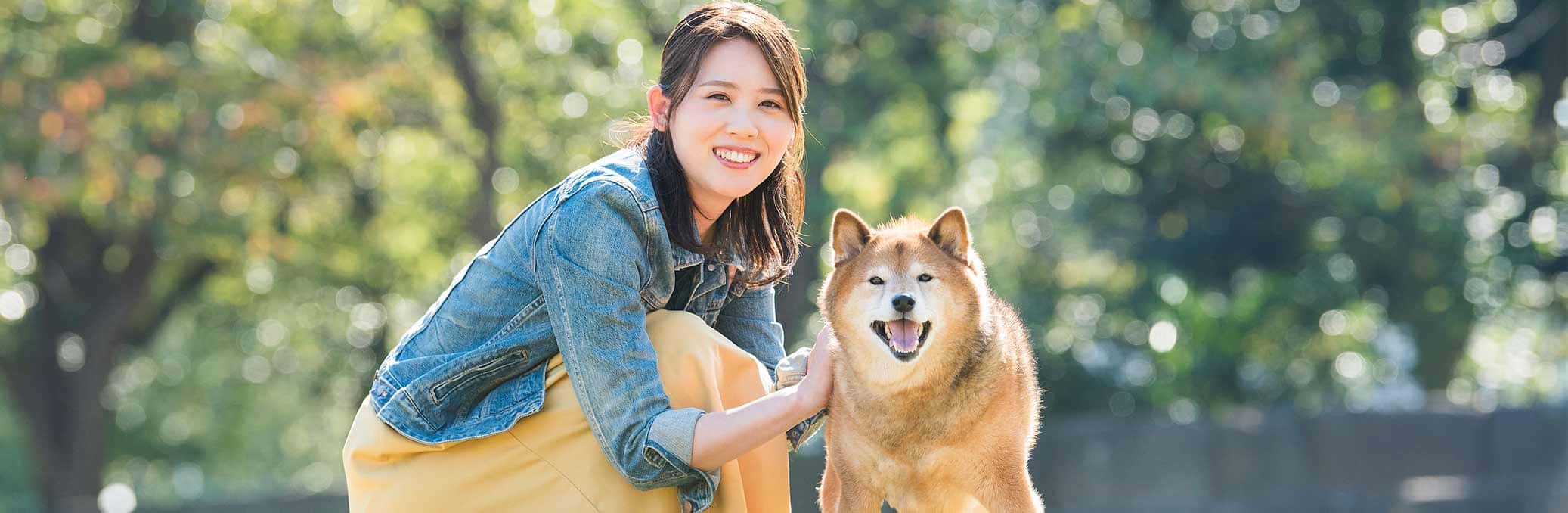 22年最新 ドッグフードの選び方とおすすめ比較ランキング16選 Collect コレクト