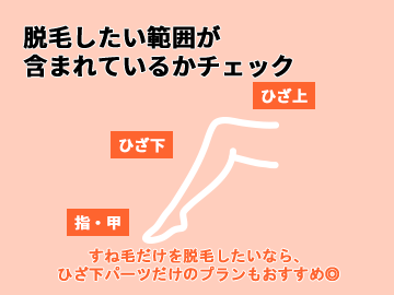 脱毛範囲に注意する