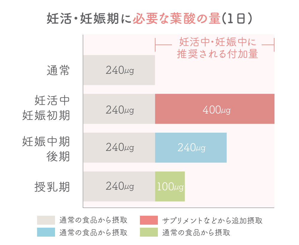 妊活・妊娠期に必要な葉酸量