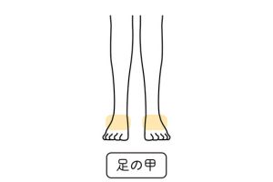 足の甲