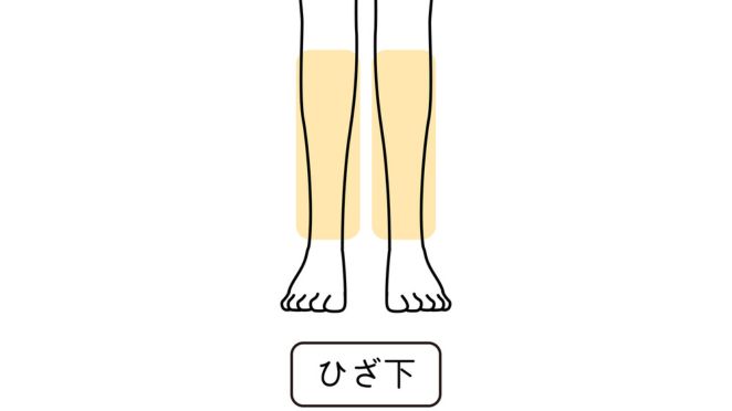 ひざ下