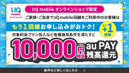 もう1回線お申し込みでおトクキャンペーン！