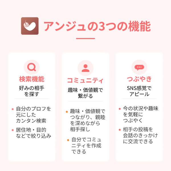 アンジュの3つの機能