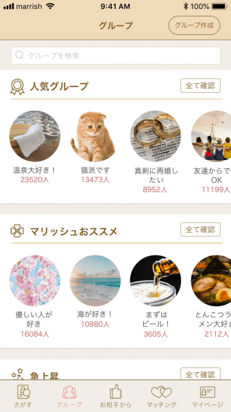 マリッシュ使用画面